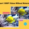 MiniTool MovieMaker Ultimate Plan: Perpetual Lifetime License