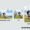 Adobe Premiere Elements 2025: 3-Year License