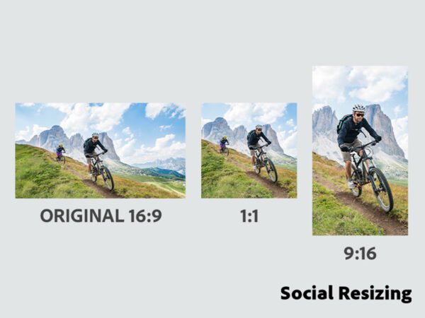 Adobe Premiere Elements 2025: 3-Year License