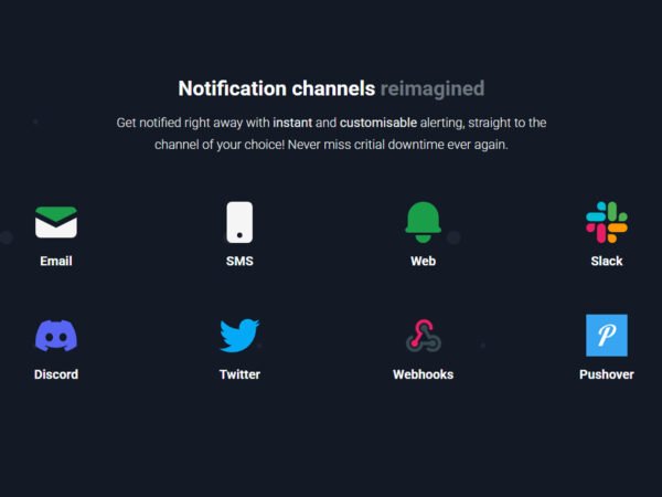 Domain Monitor Pro Plan: Lifetime Subscription