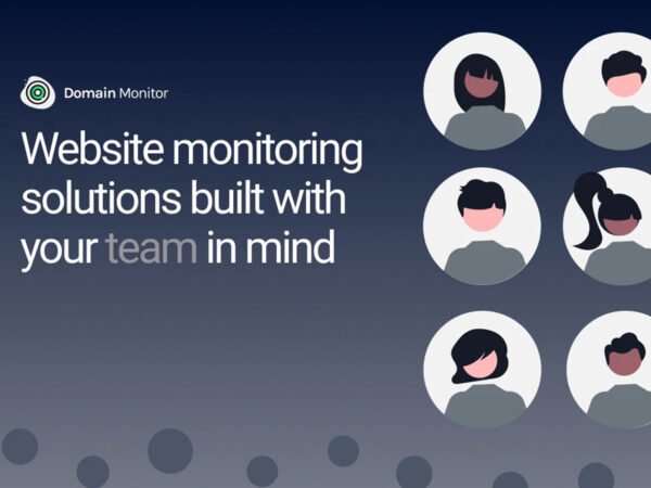 Domain Monitor Pro Plan: Lifetime Subscription